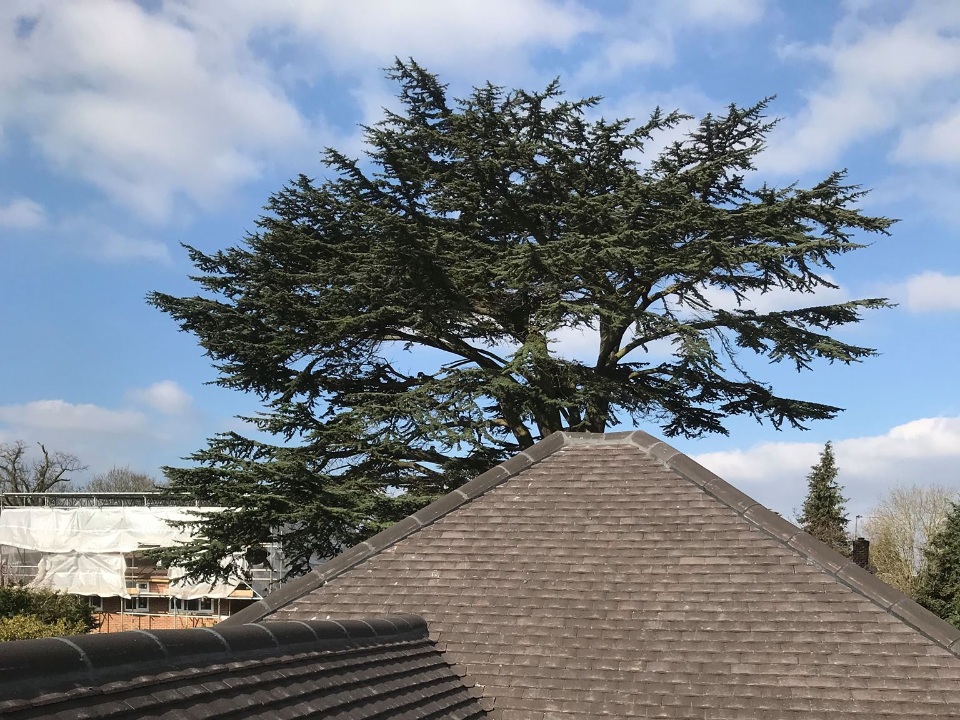 JMI Roofing work photo 2