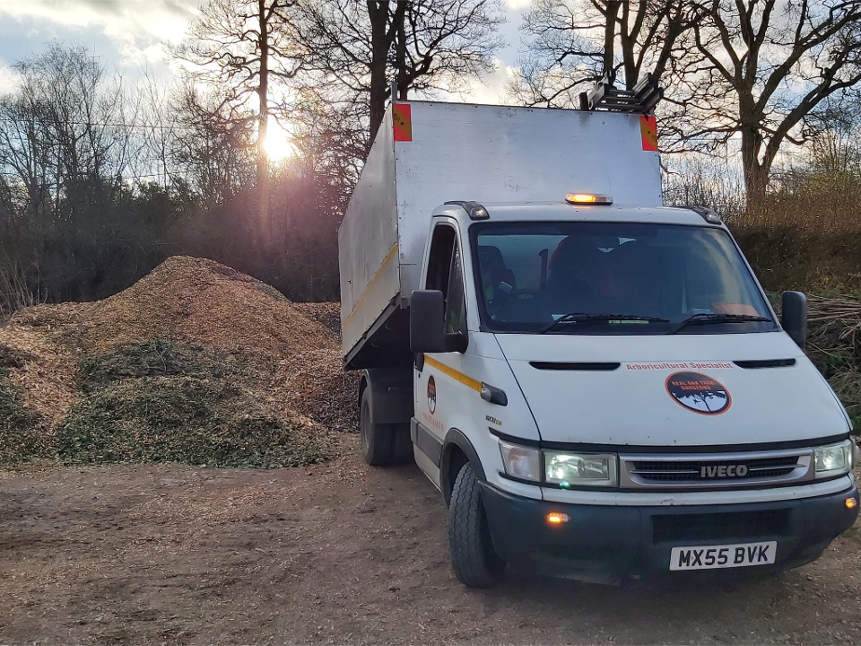 Real Oak Tree Surgeons Ltd work photo 3