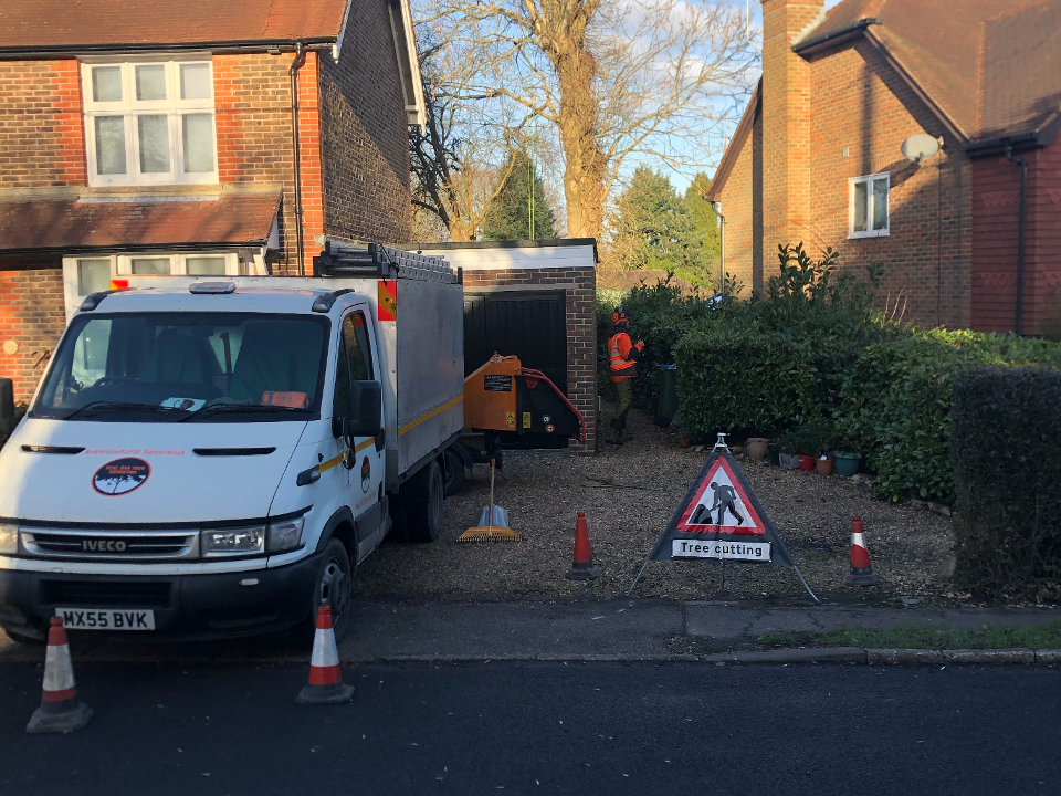 Real Oak Tree Surgeons Ltd work photo 1