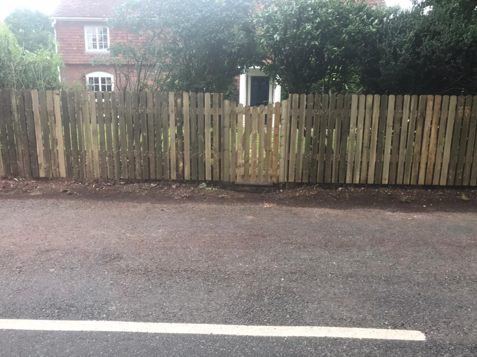 MULBERRY TREE SERVICES work photo 4