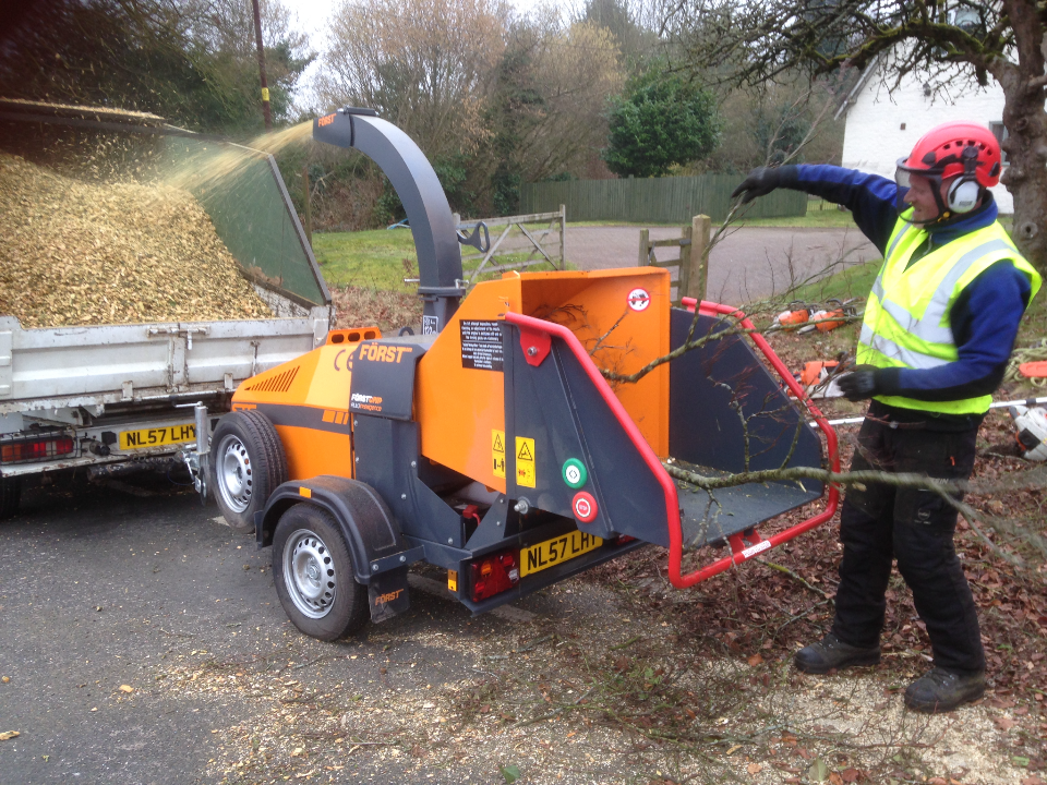 MULBERRY TREE SERVICES work photo 1