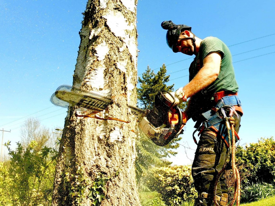Williams and Sons Tree and Garden work photo 3