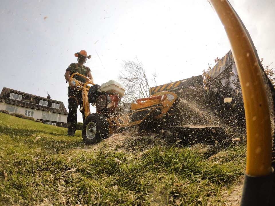 Williams and Sons Tree and Garden work photo 2