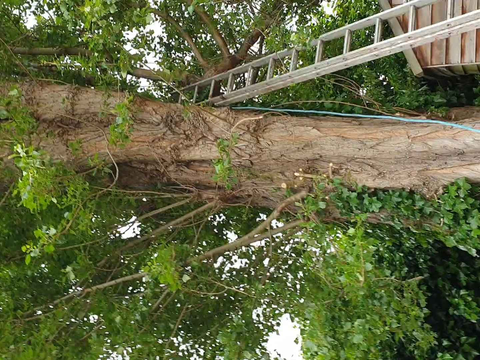 Johnathan Tree Surgeons & Landscaping. work photo 5