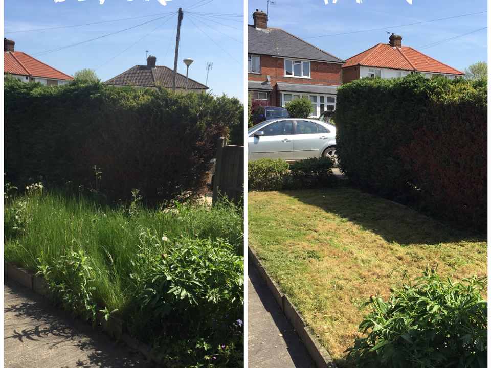 Greenland Gardening & Tree Services work photo 3