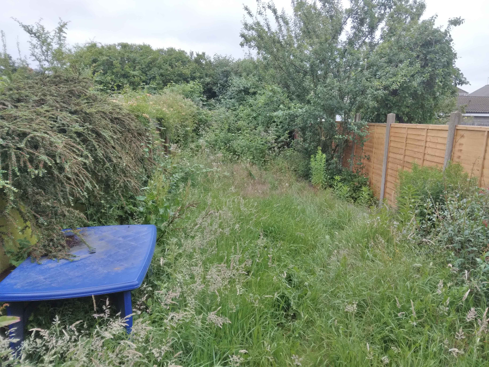 DA Gardening Services work photo 8
