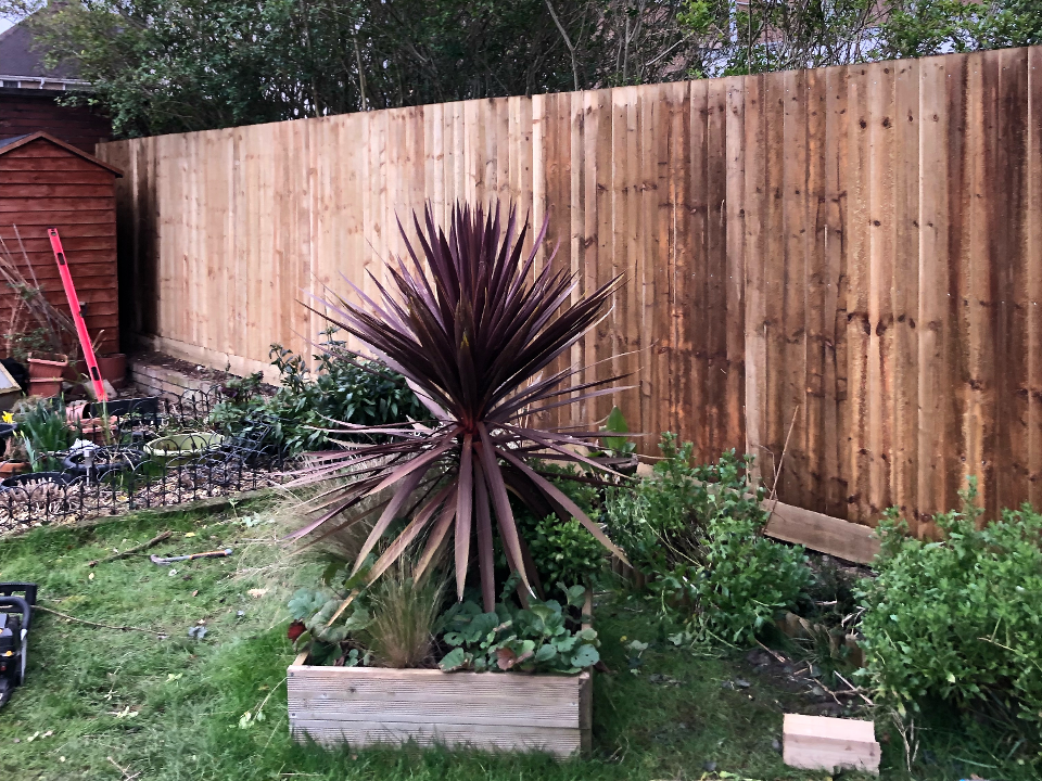 Garden Kings work photo 3