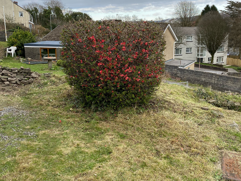 Taylor'd Landscaping work photo 3