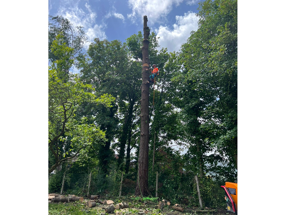 Taylor'd Landscaping work photo 1