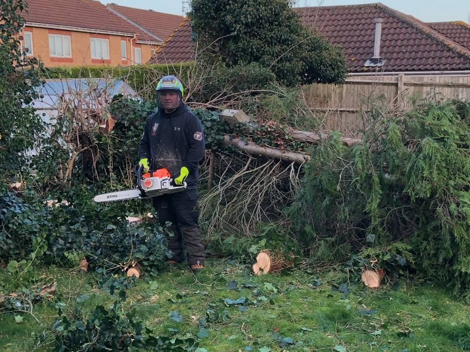 K Lee Stags Tree Specialists work photo 4