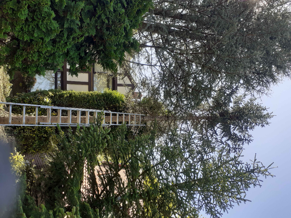 Oakleaf Tree and Garden Care work photo 2