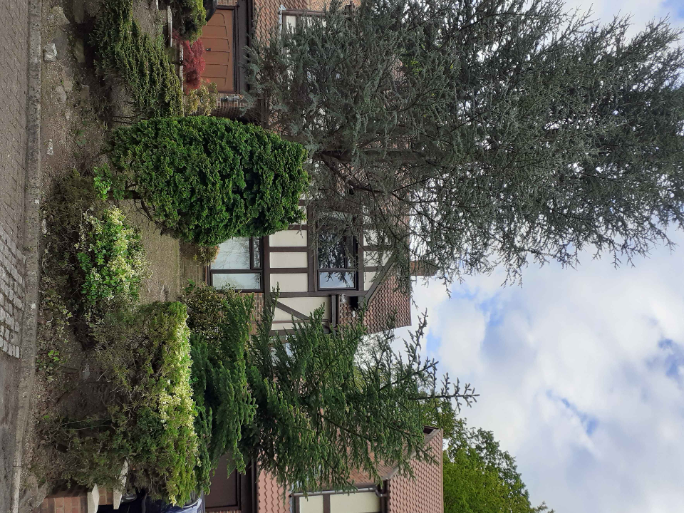 Oakleaf Tree and Garden Care work photo 1