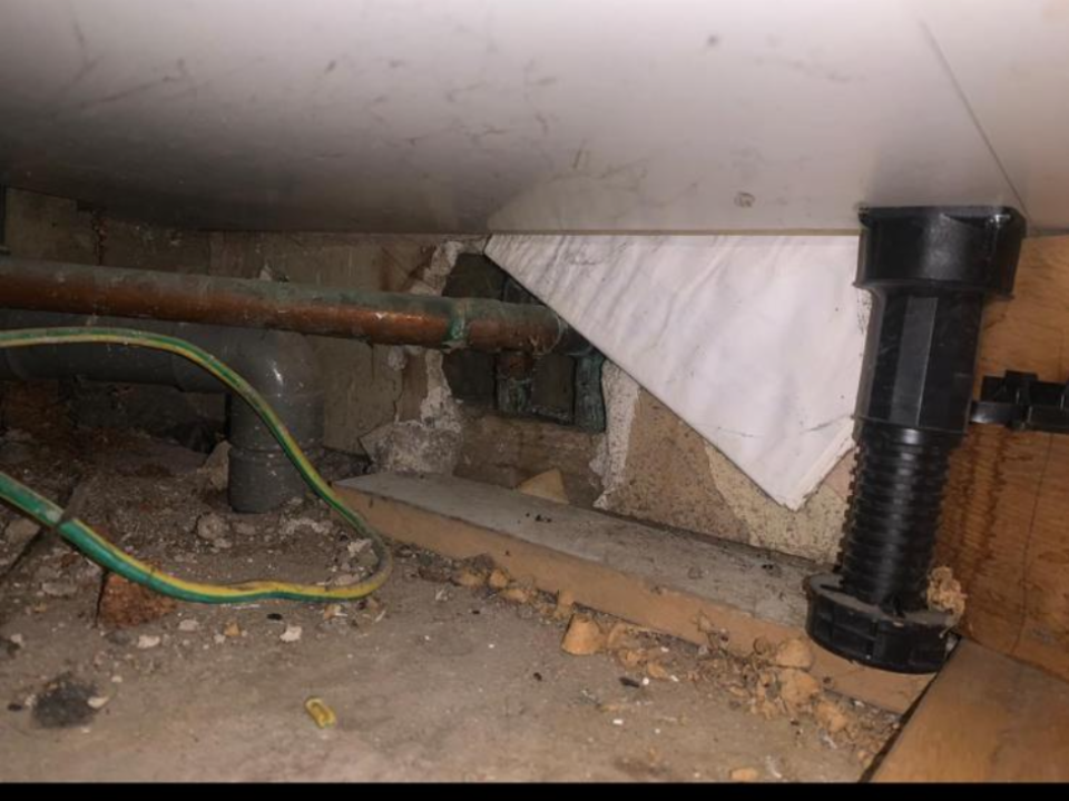 Pestorid Pest Control work photo 4