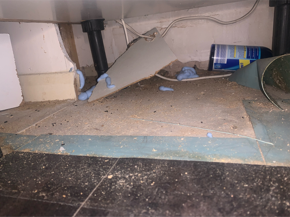 Pestorid Pest Control work photo 3