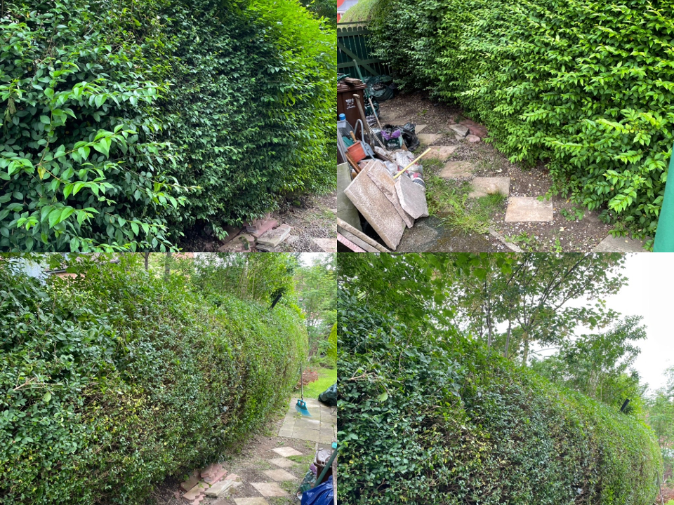 BH Garden Maintenance work photo 3