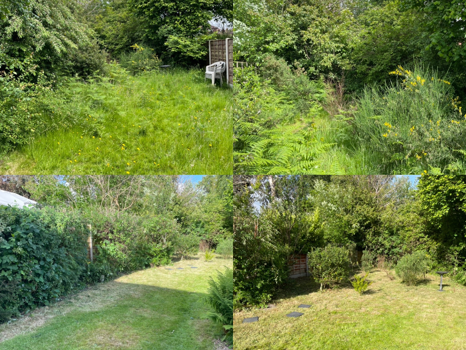 BH Garden Maintenance work photo 2