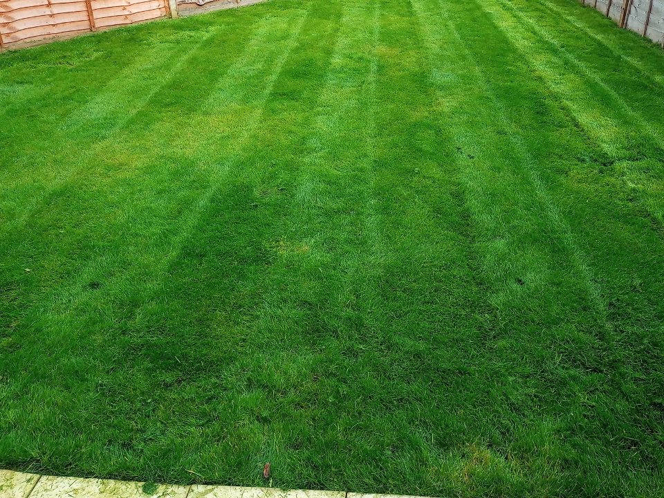 RBS Gardening work photo 3