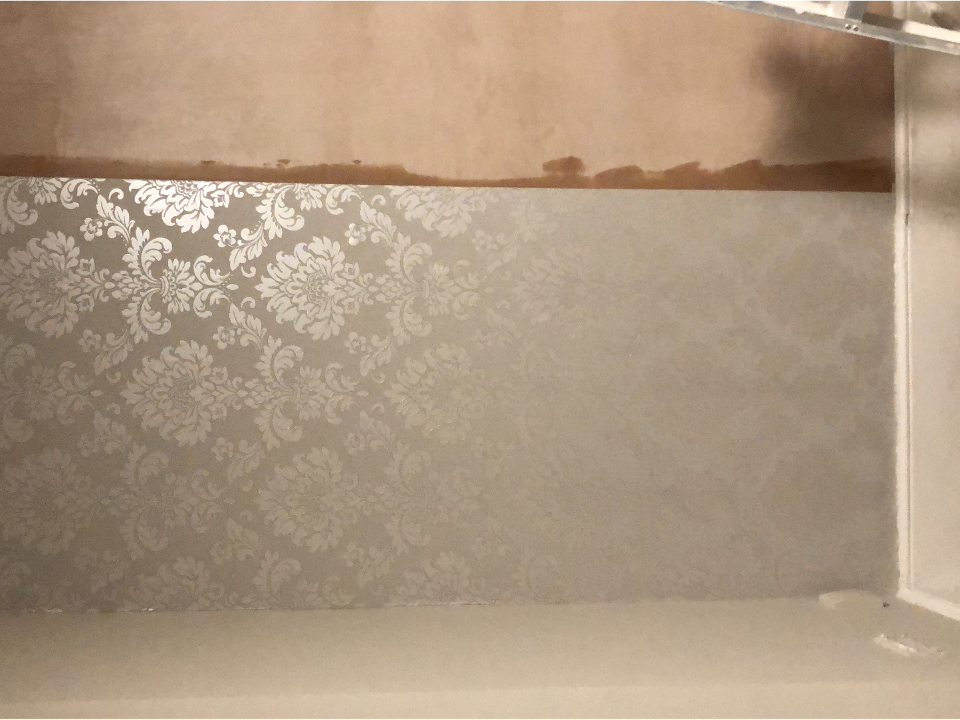 Valentin Painter & Decorator work photo 4