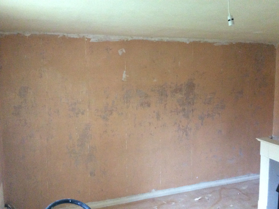 Proflex Plastering work photo 4