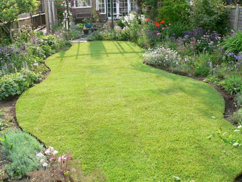 Tree Life Care In Swindon | Rated People