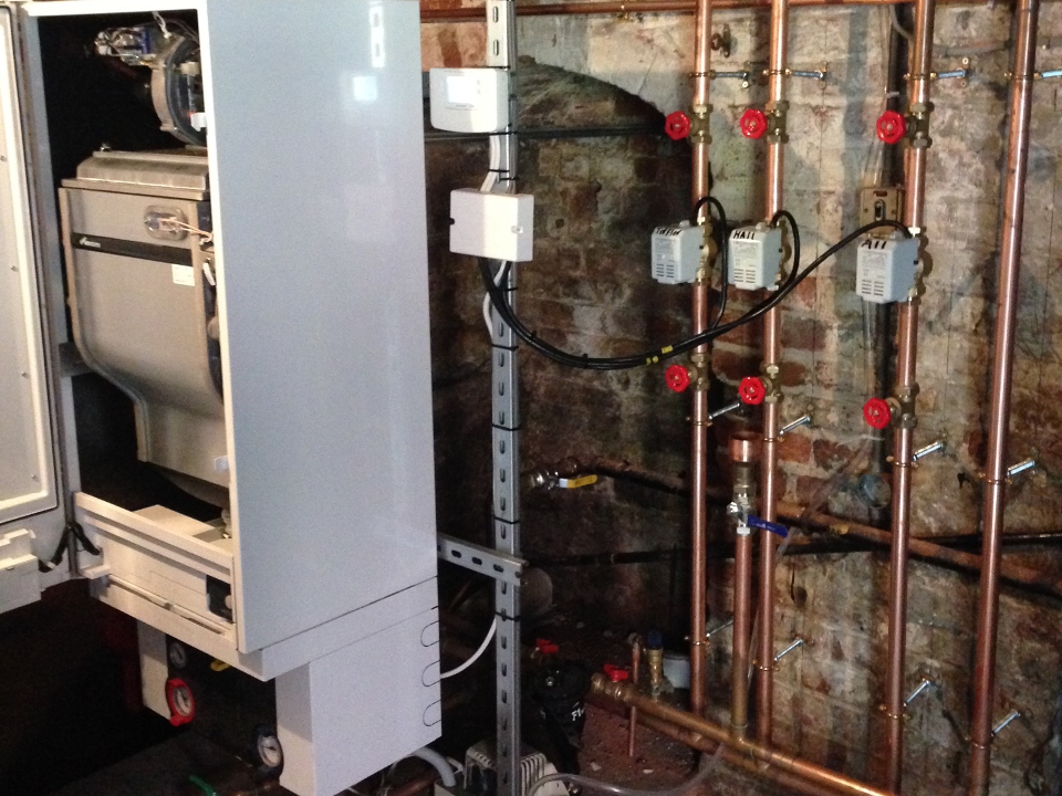 WBC South work photo 1