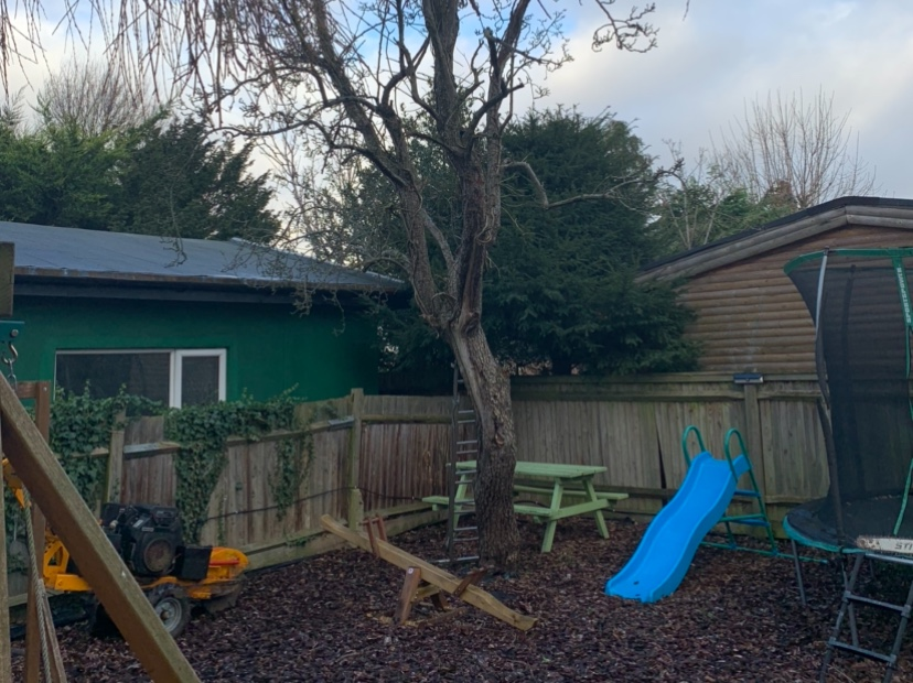 N P TREE CARE work photo 1