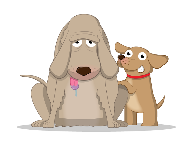 Two dogs, an older one and a younger one.