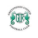 Greystones United Greystones United