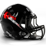 West Dublin Rhinos West Dublin Rhinos