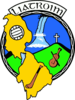 Leitrim Football crest