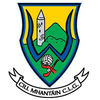 Wicklow Football crest