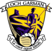Wexford Football crest