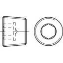 Korek gwintowany TOOLCRAFT 112661 M8 DIN 906 100 szt.