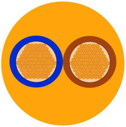 Sieciowy kabel zasilający 2 Core Polichlorek winylu PVC Sheath Pomarańczowy 8.6mm od , 500 V