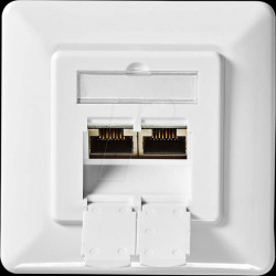 CCBW89250IV Flush-mounted RJ45 socket, 2-fold, Cat.6a