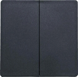 DW-F4T55E/10-am