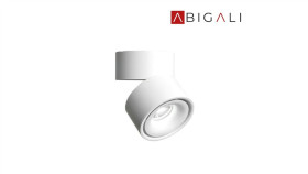 Abigali Oprawa Natynkowa Cri90 20 12W Ww Ściemnialna, Abigali-Mztd-W-12-20Ww-Dim