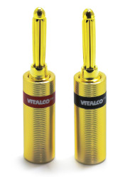 WTYK VITALCO BANAN LAW47