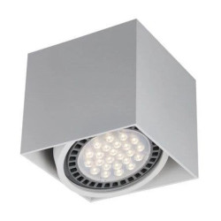Spot lampa natynkowa BOX kolor biały metal, GU10 (ES111) IP20 ACGU10-114-N Zuma Line