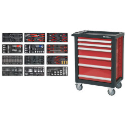 Sealey AP2406TBTC01 Rollcab 6 Drawer &#x2B; Ball Bearing Slides &#x2B; 298pc Tool Kit