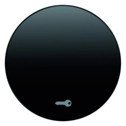 Berker R.1/R.3 Klawisz z nadrukiem symbolu /drzwi/ czarny połysk 16202015