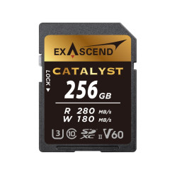 Karta SD SDXC, 256 GB, Exascend Catalyst