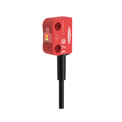 RFID safety switch with ISD function