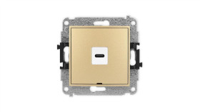 Icon Mechanizm Gniazda Pojedynczego 1Xusb C-C, Bez Pola Opisowego Złoty...