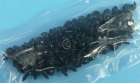 STS8-2,9x6,5-TX-BO1S WKRĘT SAMONAC.100s