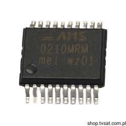 0210MRM asic icS DC Brusch ServoDrivers SMD-TSSOP24 AMS