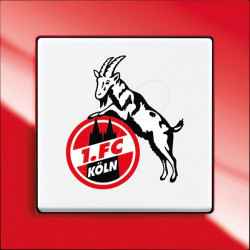 2000/6 UJ/04 1. FC Köln fan switch - switch off and toggle switching