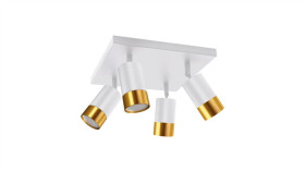 Ideus Spot Puzon 2Xgu10 4D White/Gold