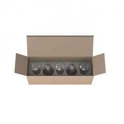 Zestaw 5 żarówek BULB LED E27, A60 2W, 5 PC SET 7487 Nowodvorski Lighting