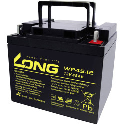 Long WP45-12 AGM Battery 12V 45Ah M6 Connector VDS Certified Maintenance-free